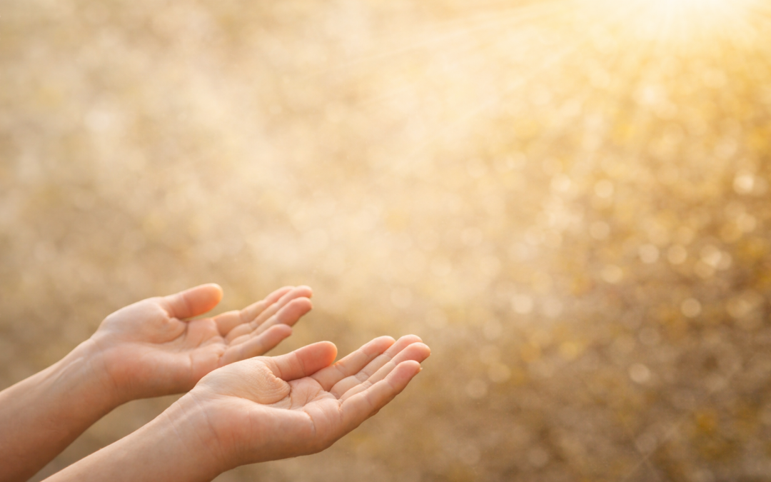 BILA BELAJAR BERKATA TIDAK